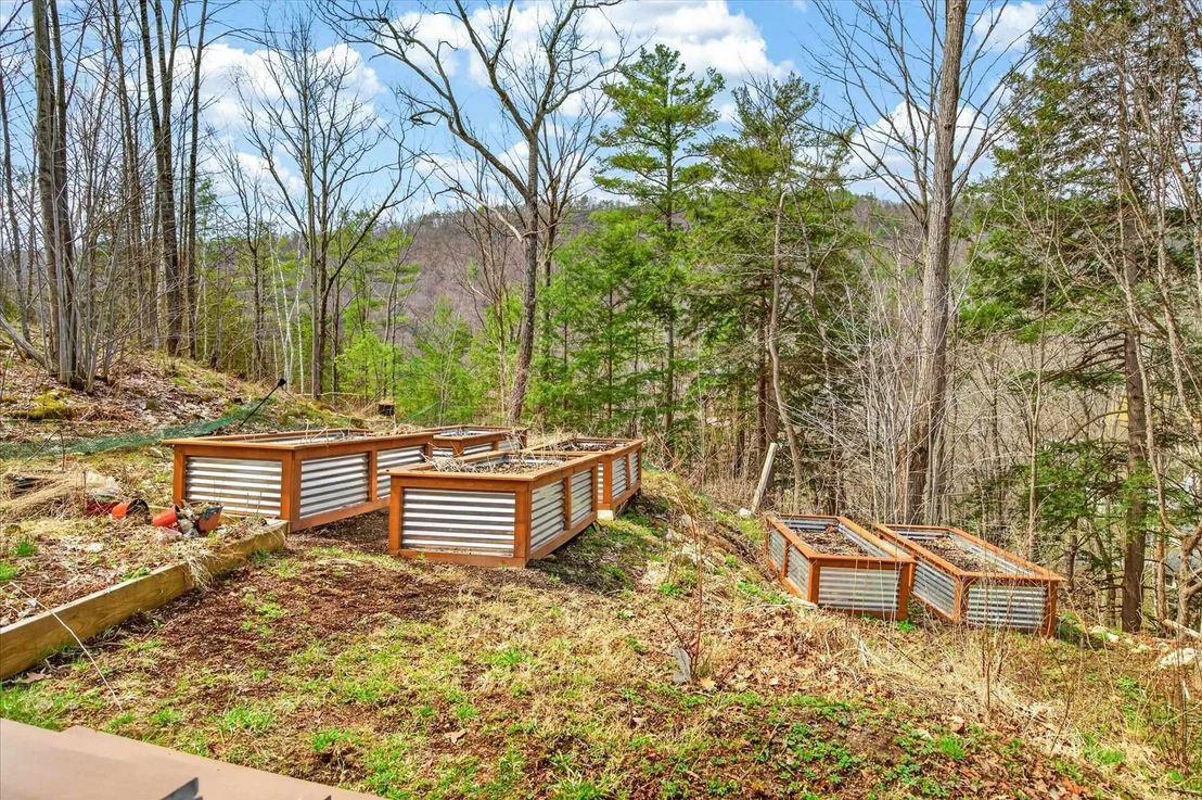 Photo of 25 Bluff