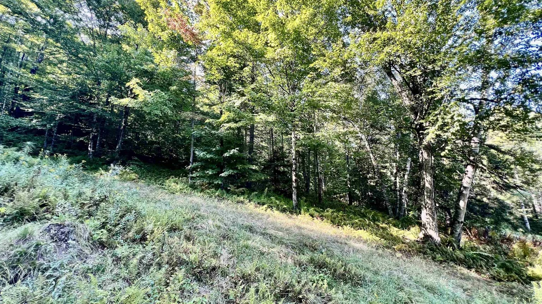 Photo of 2075 Codding Hollow