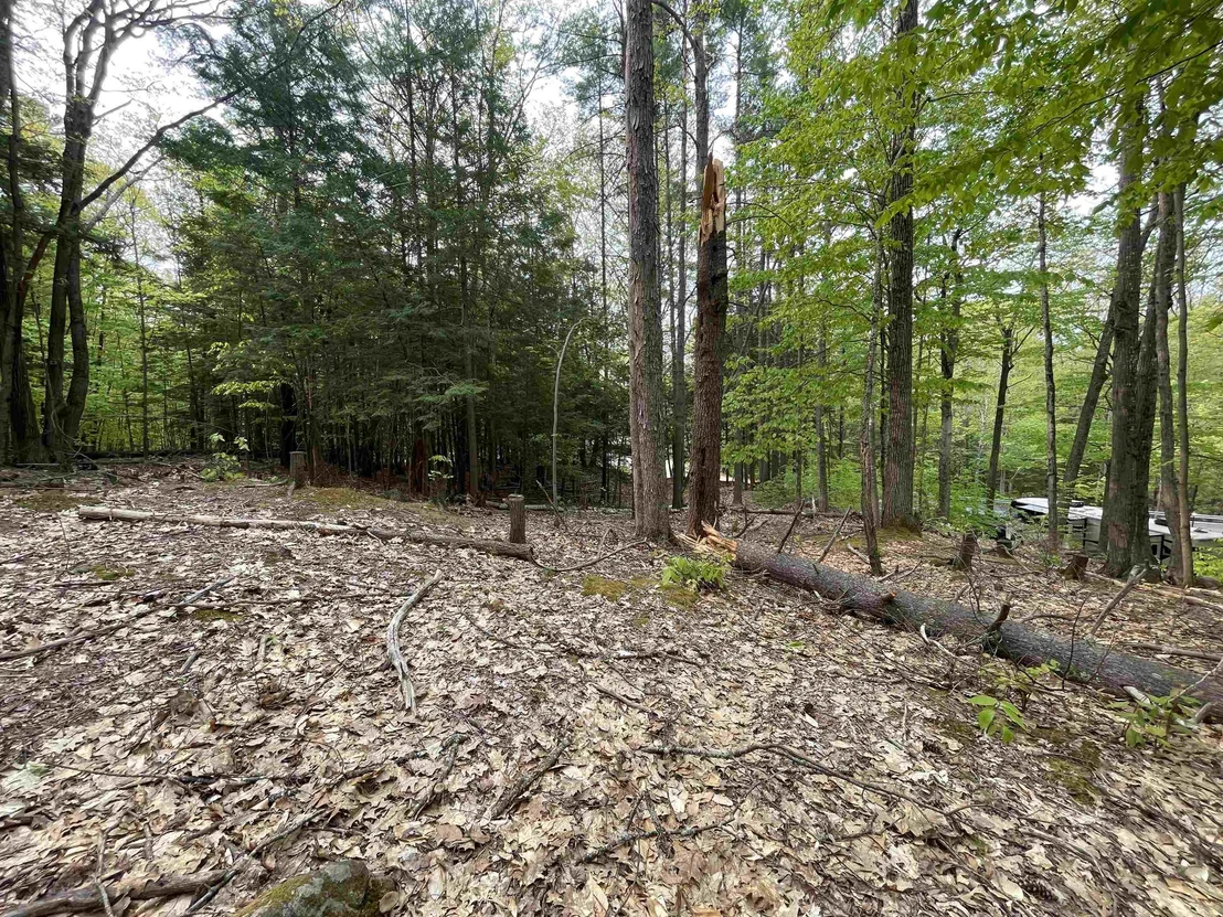 Photo of Map 212, Lot 49 Durrell Mountain