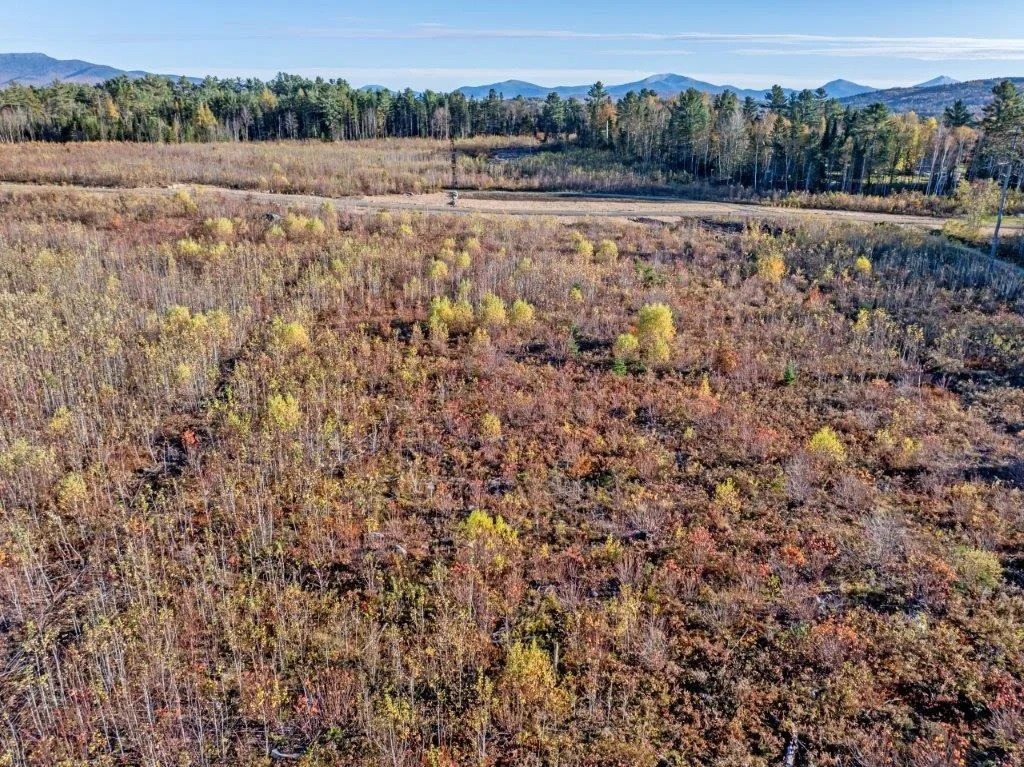 Photo of Lot 2 McIntyre