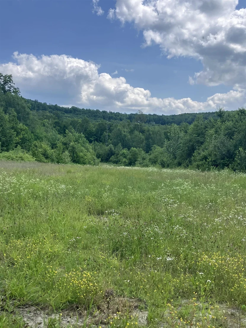 Photo of Lot 2&3 Washburn/Meridan Hill