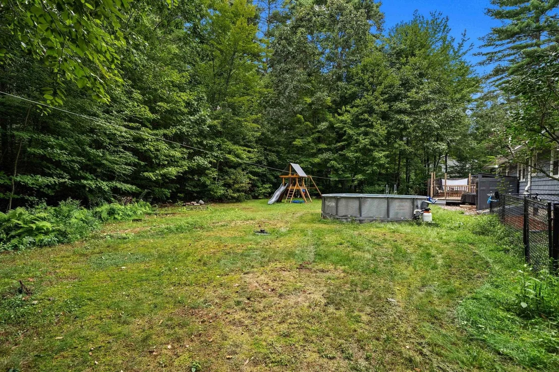 Photo of 6 Juniper