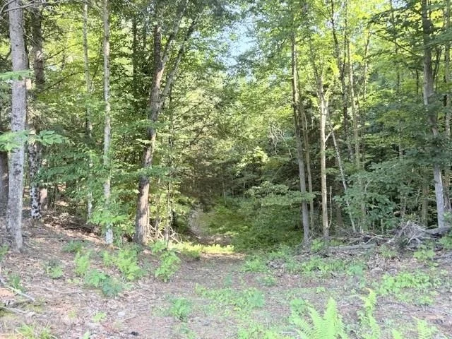 Photo of 2673 U.S. Route 5
