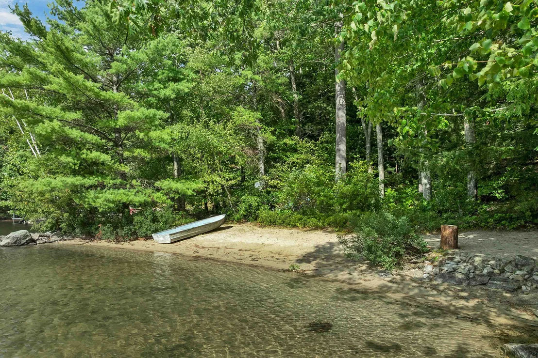 Photo of 49 Kings Pine