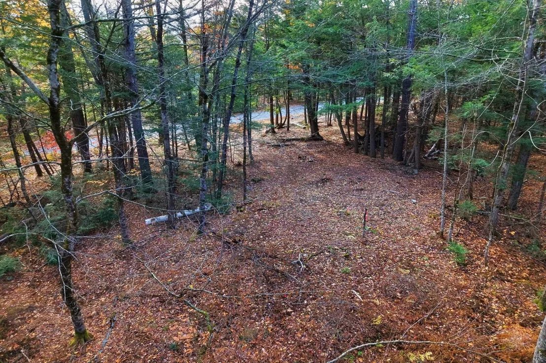 Photo of Lot 12-5 Needle Eye