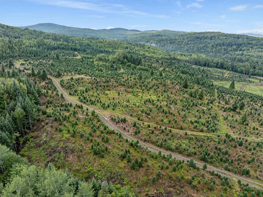 Photo of - Capon Brook
