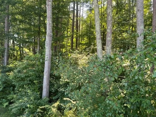 Photo of 33 Coburn