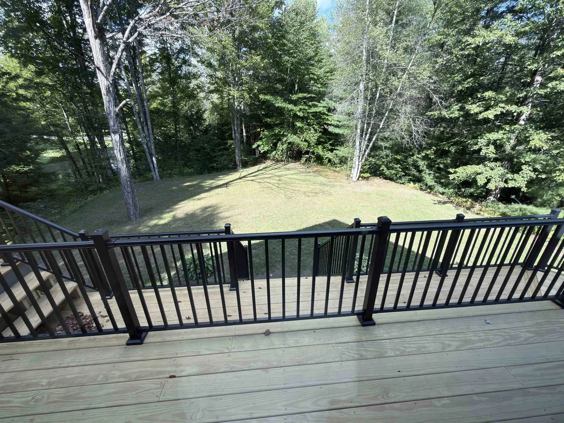 Photo of 341 Black Bear