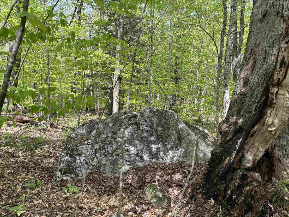 Photo of 00 Snell