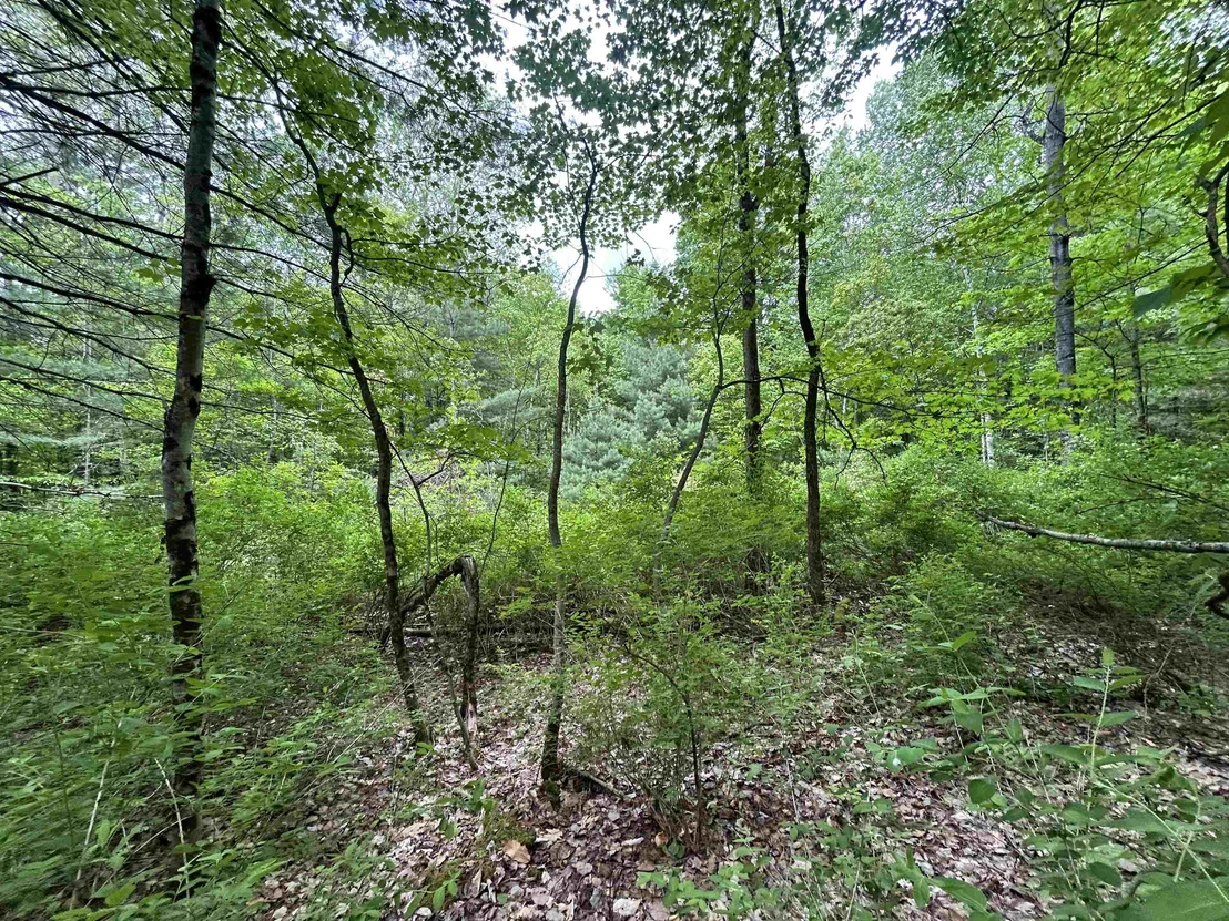 Photo of Lot 48 Sugar Hill