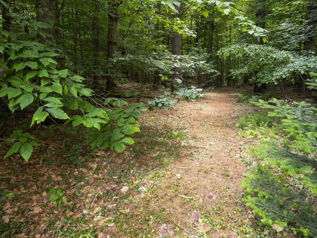 Photo of 152 Wood