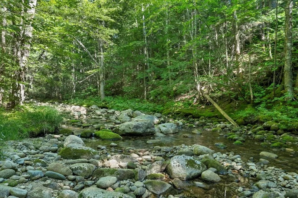 Photo of 32 Johnson Brook
