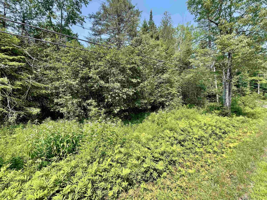 Photo of 00 Peene Hill