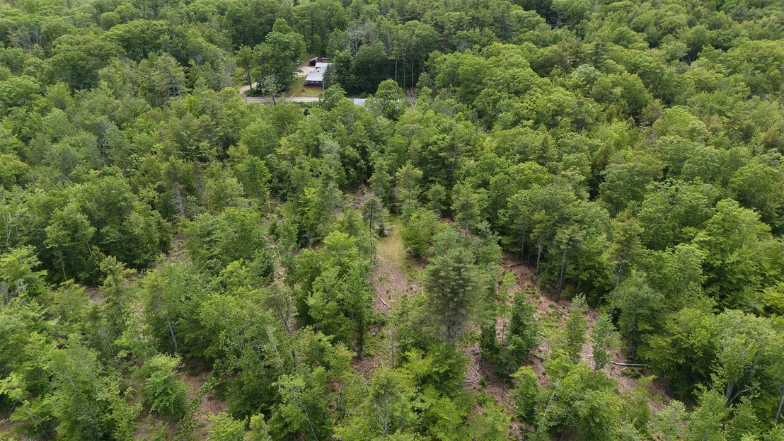 Photo of 160 Browns Ridge