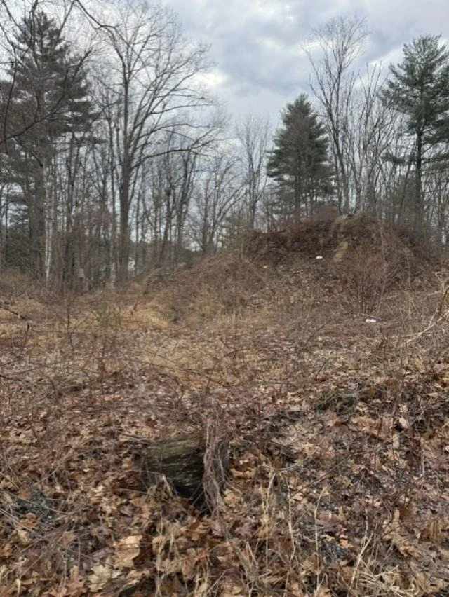 Photo of 2 Shore