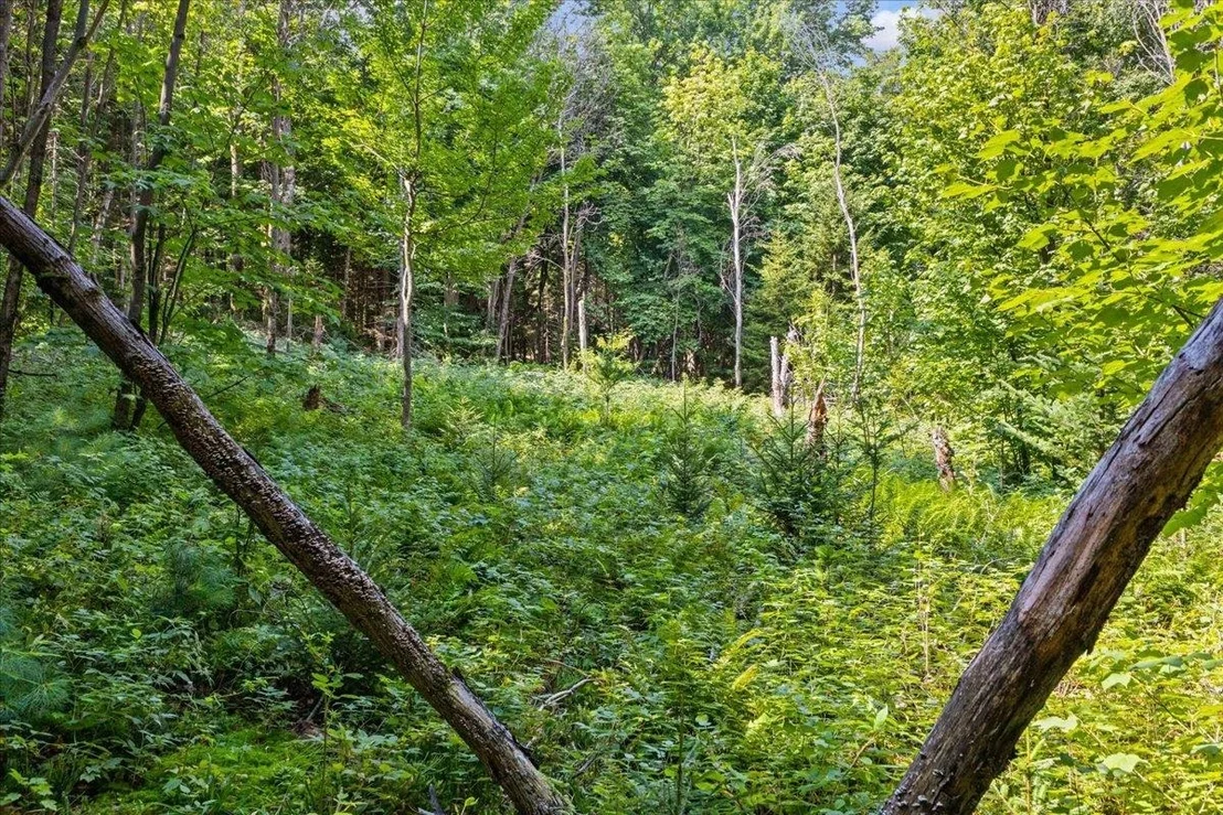Photo of 0 Mountain View