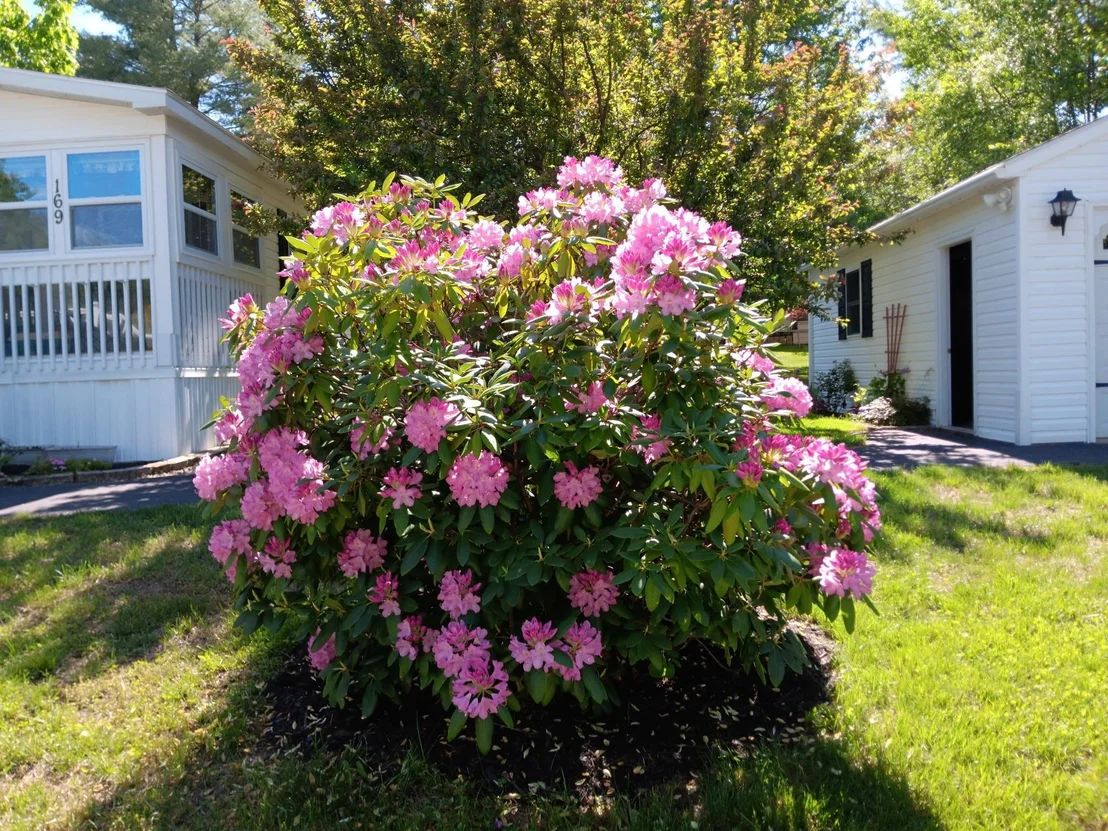 Photo of 169 Eagle