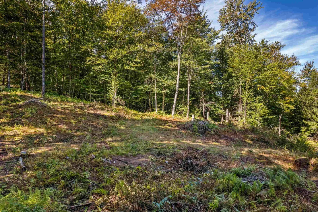 Photo of 664 Ranney