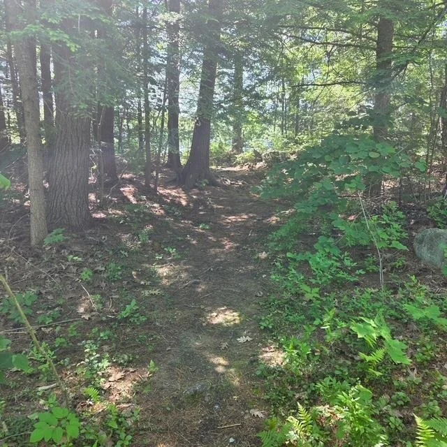 Photo of 18 GORHAM