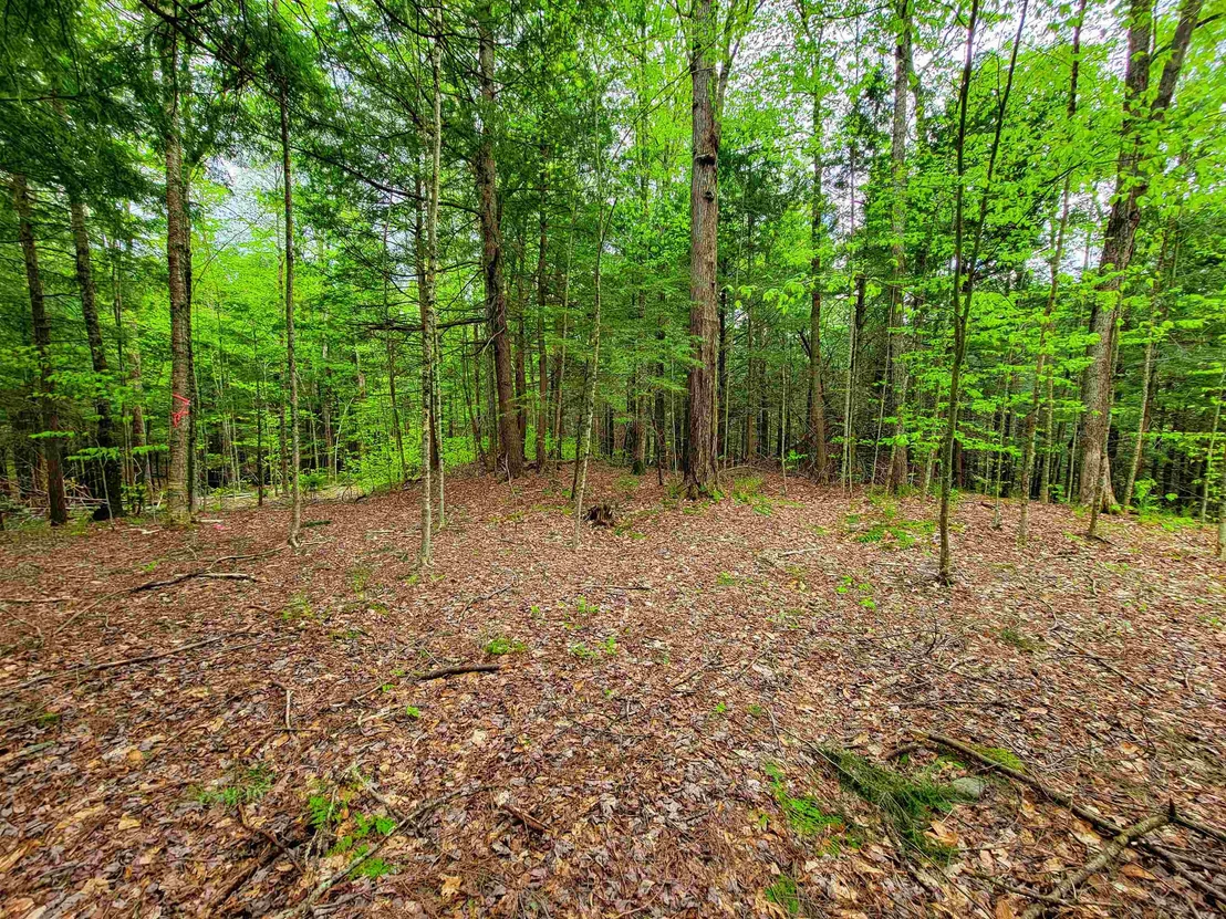 Photo of 167 High Meadow