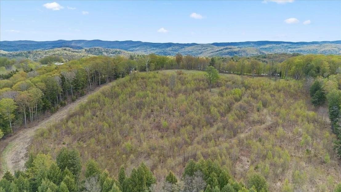 Photo of 278 Spring