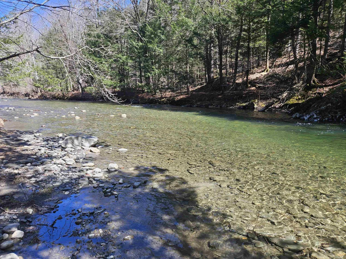 Photo of 1736 River
