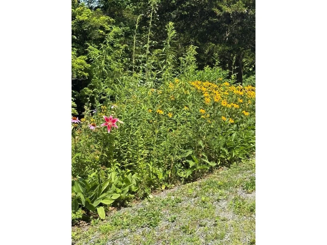 Photo of 240 Jericho