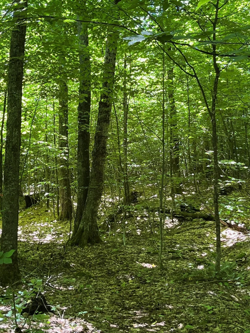 Photo of 3C Westover
