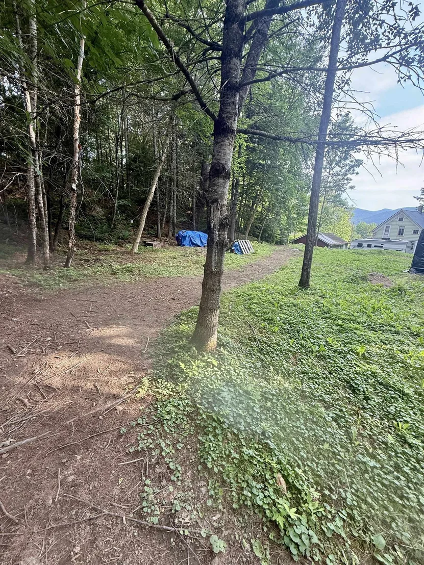 Photo of 7 Pine