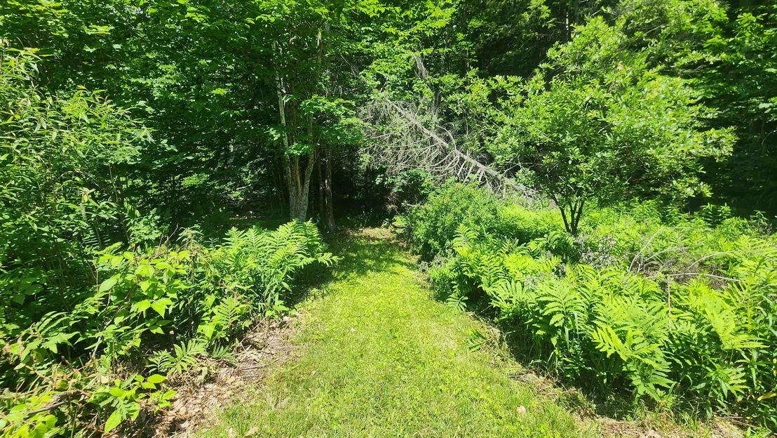 Photo of 1372 Potash Brook