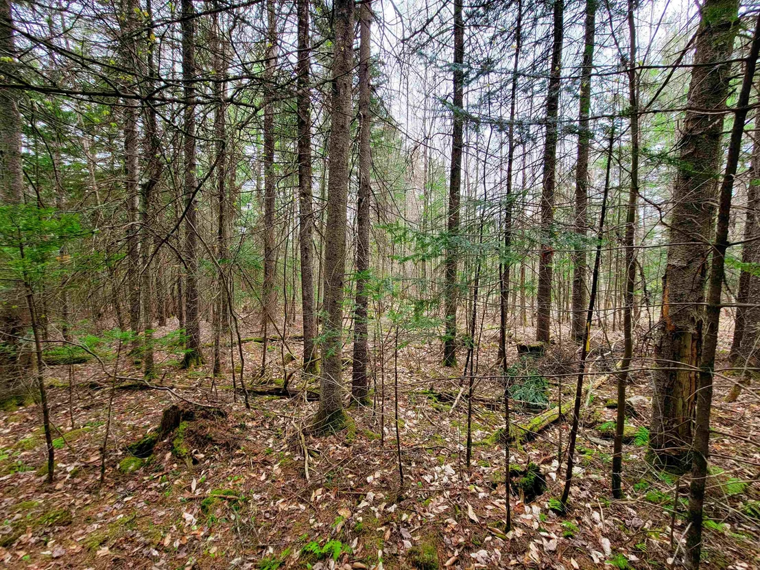 Photo of 280 Guyette