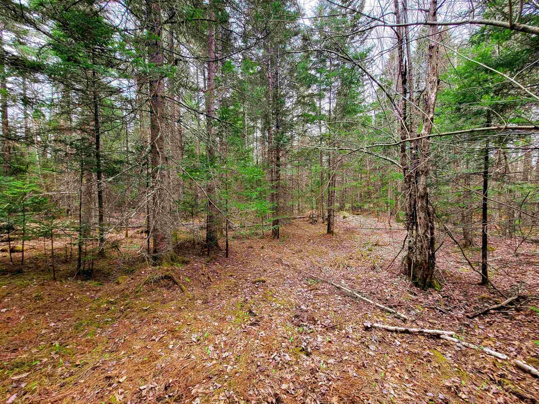 Photo of 280 Guyette
