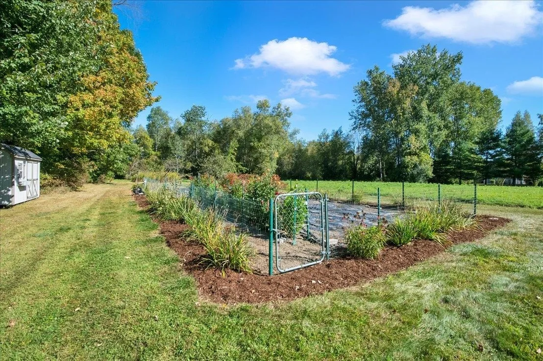 Photo of 185 Dirt