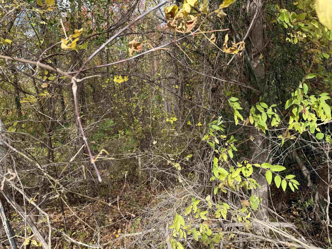 Photo of 0 Sunset Hill