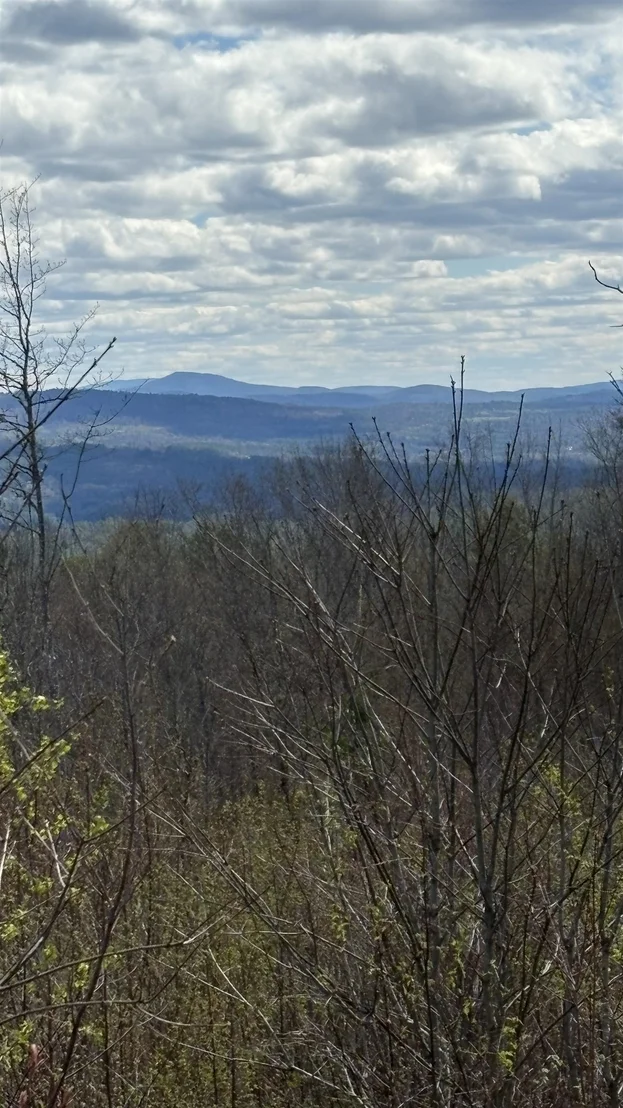 Photo of Unit LOT3 at 0 Oregon
