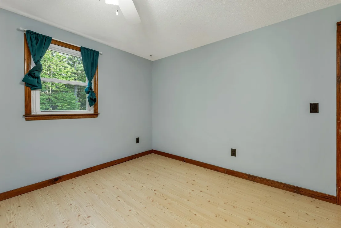 Photo of 30 Elderberry
