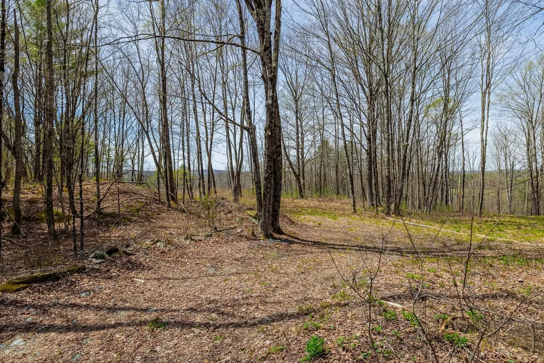 Photo of 00 Olcott