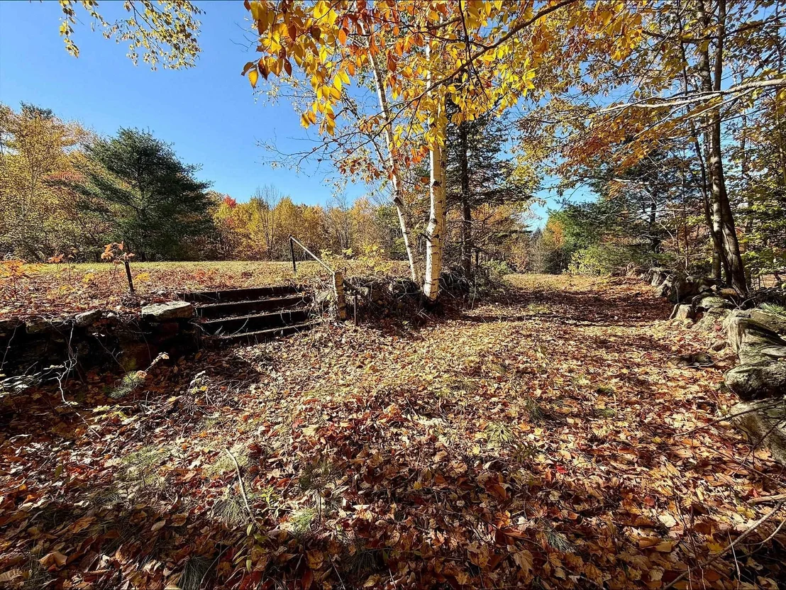 Photo of 218 Black Mountain