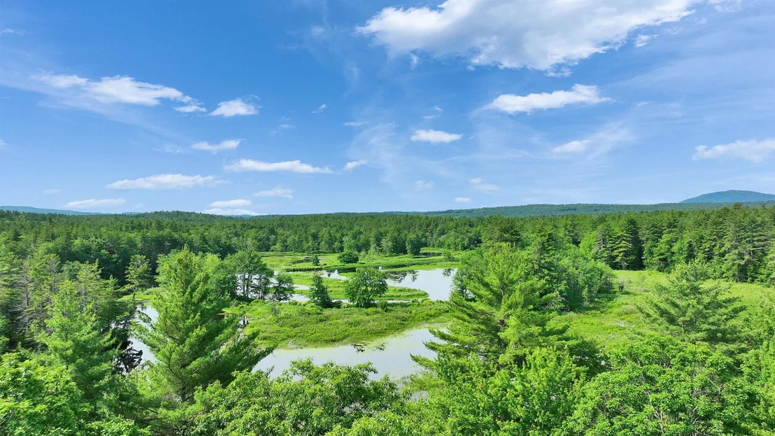 Photo of 261 Forest