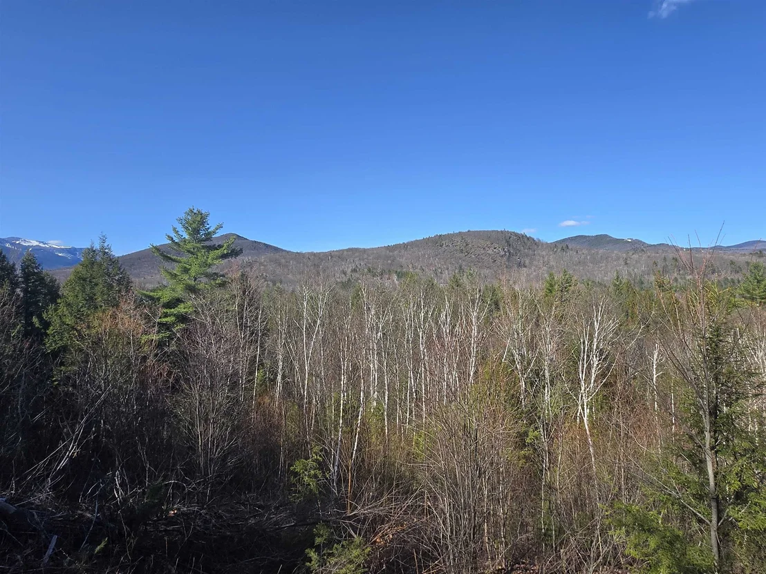 Photo of Unit LOT165C5 at 00 Green Hill