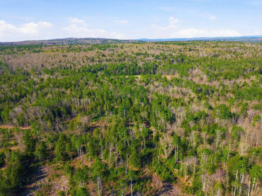 Photo of Unit MAP8LOT28 at 87 Bear Hill