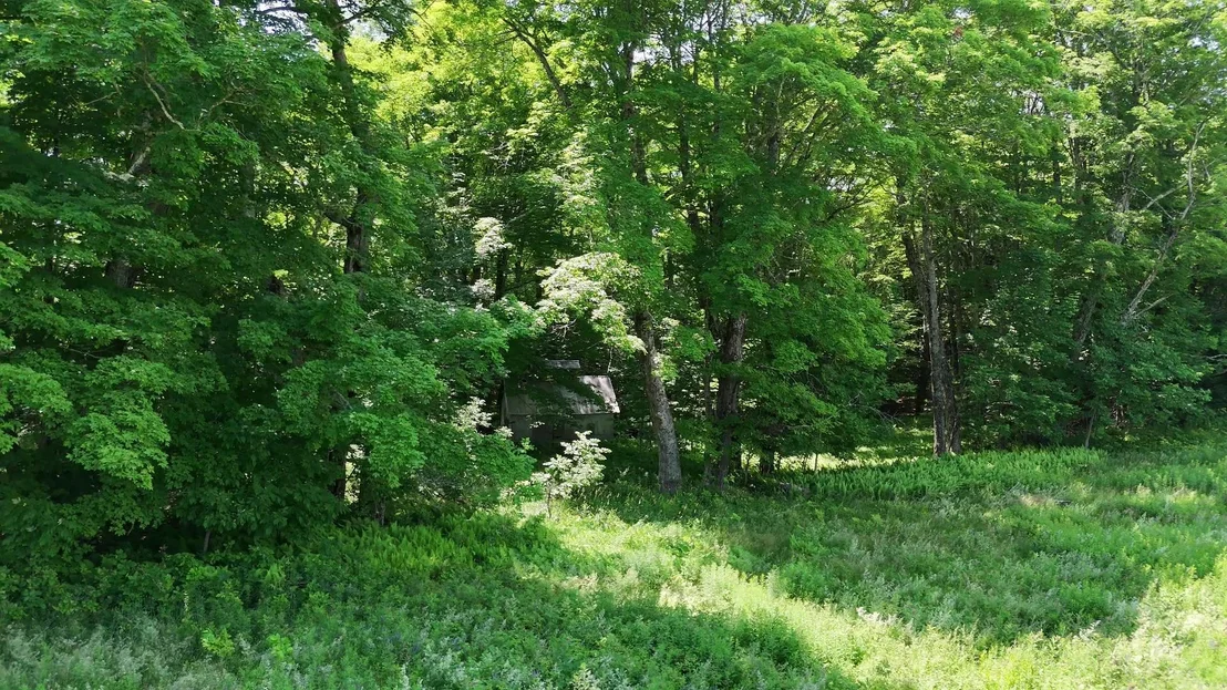 Photo of 00 Old Farm
