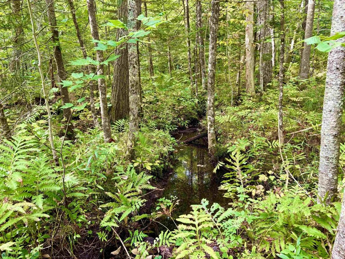 Photo of 0 Partridge Hollow