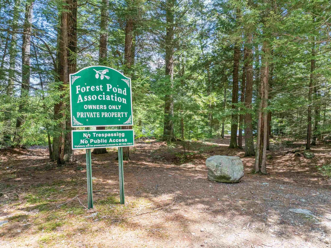 Photo of 47 Forest Pond
