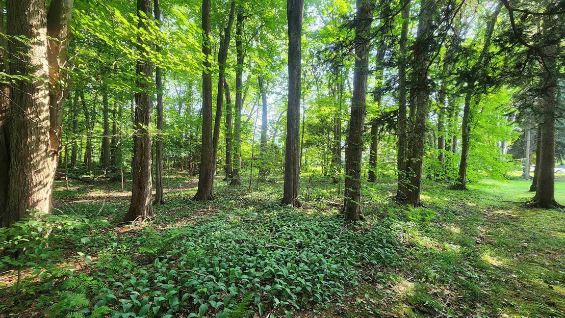Photo of Unit MAP161LOT44 at Towle