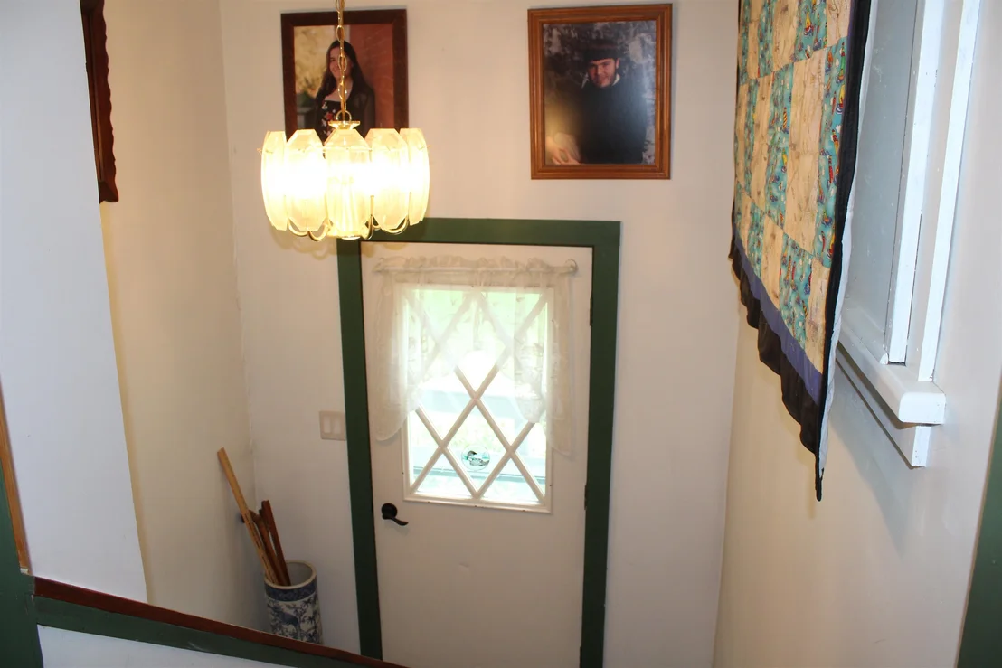 Photo of 8 Holly