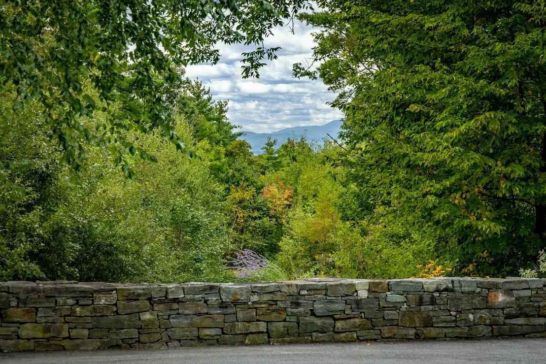 Photo of 422 Shagbark