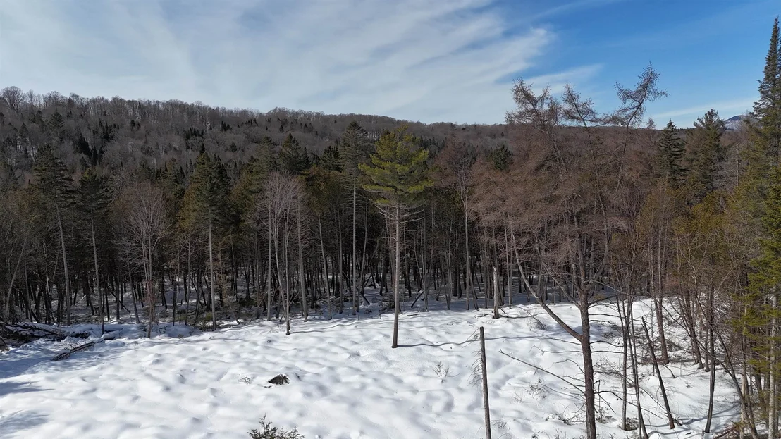 Photo of 00 Vermont Route 5A