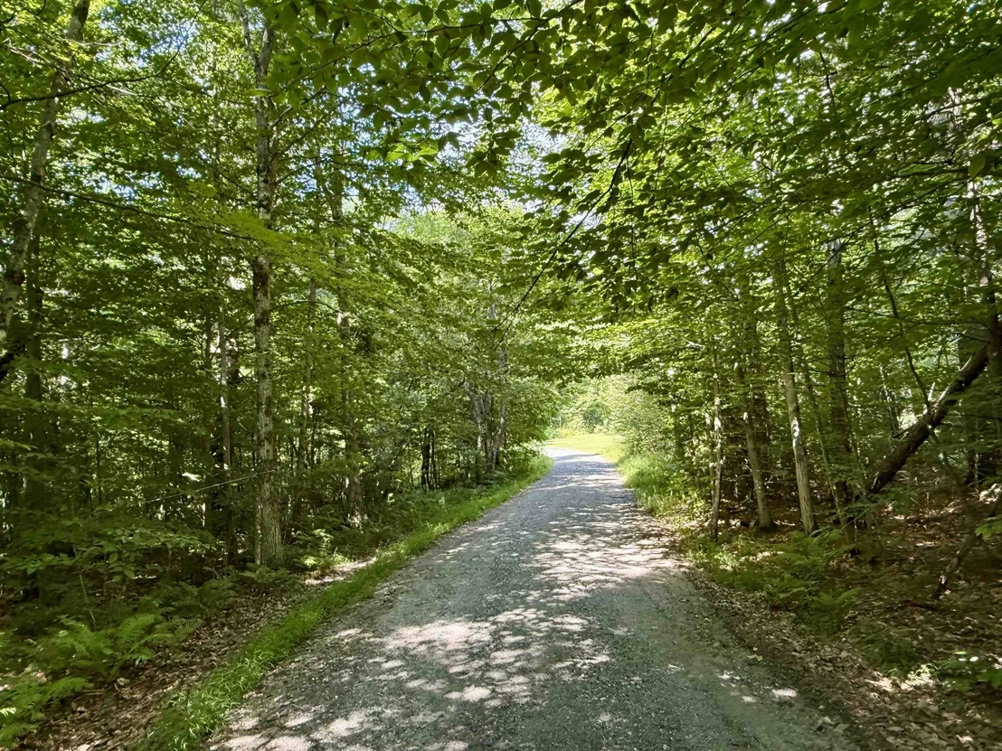 Photo of 3536 Plot