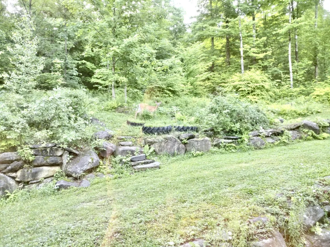 Photo of 1207 Iron Gate